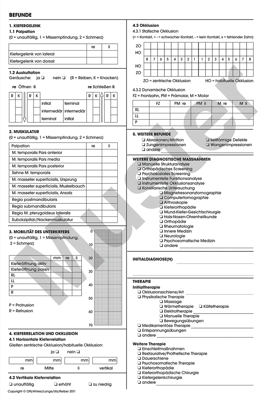 Erhebungsbogen Klinischer Funktionsstatus Stück 100 Blatt