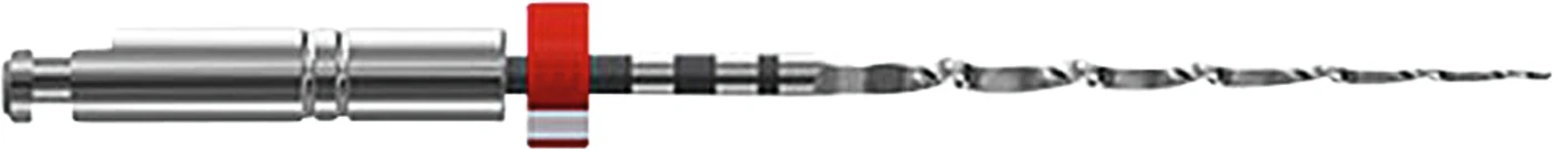 FKG BioRaCe Steril Packung 6 Stück 25 mm, ISO 025, 4 %