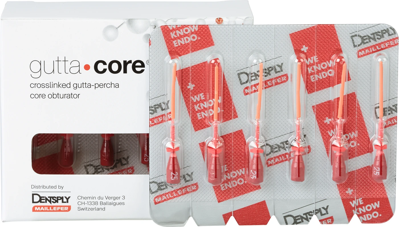 GuttaCore® Blisterpackung 5 x 6 Stück ISO 025