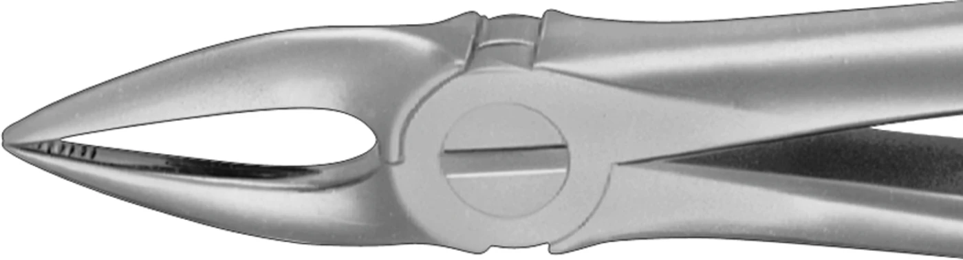 Anatomica-Zahnzangen nach Kaiser Stück DG300R, für obere Frontzahnwurzeln