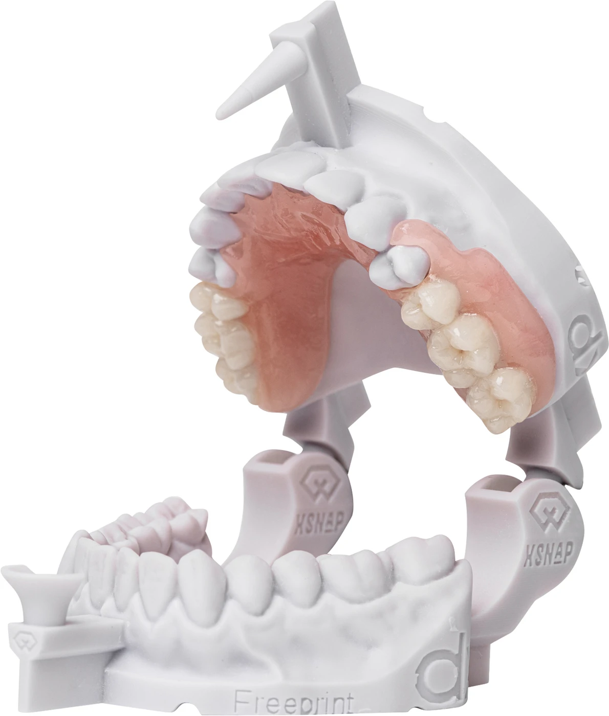 FREEPRINT® denture flex Flasche 1 kg Kunststoff 385 nm, pink-transparent