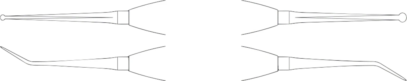 ERGOPLANT Papillenheber nach PHW Stück DX405R 190 mm, atraumatisch