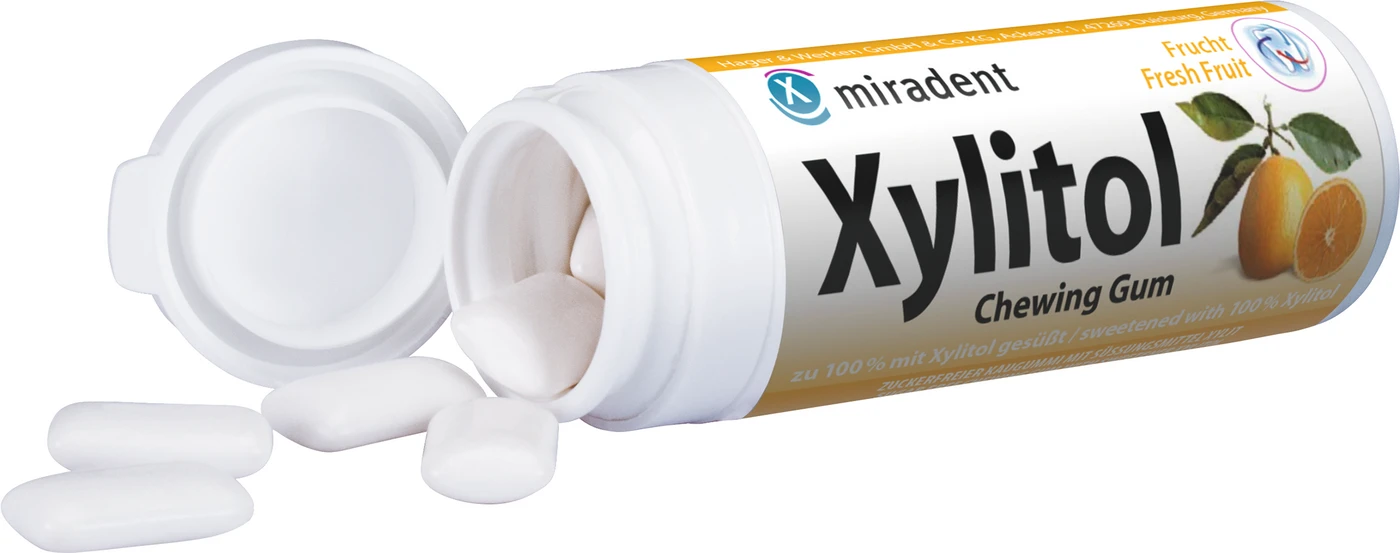 Xylitol Chewing Gum Dose 30 Stück Frucht