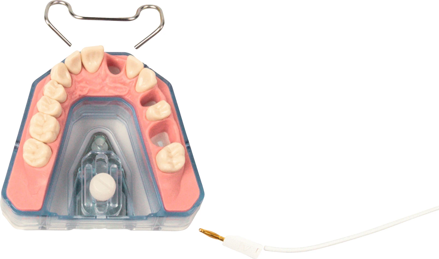 Arbeitsmodell A-REE Stück OK für ANA-4 ZPURN 21, 24, 26 vorbereitet