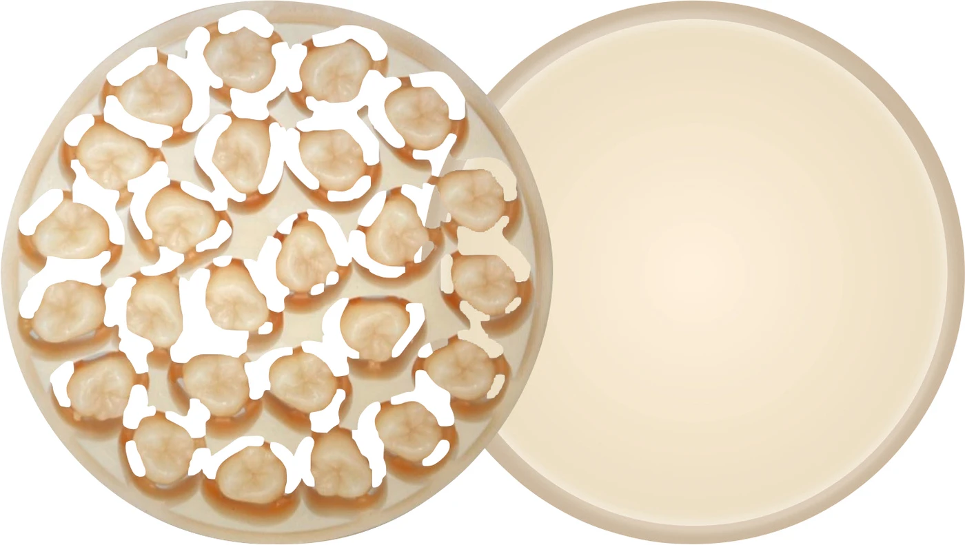 AMBARINO High-Class Stück H 15 mm, A1-MC