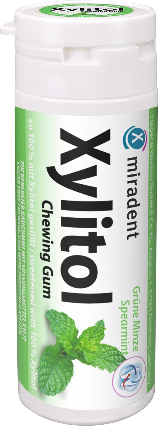 Xylitol Chewing Gum Dose 30 Stück Minze