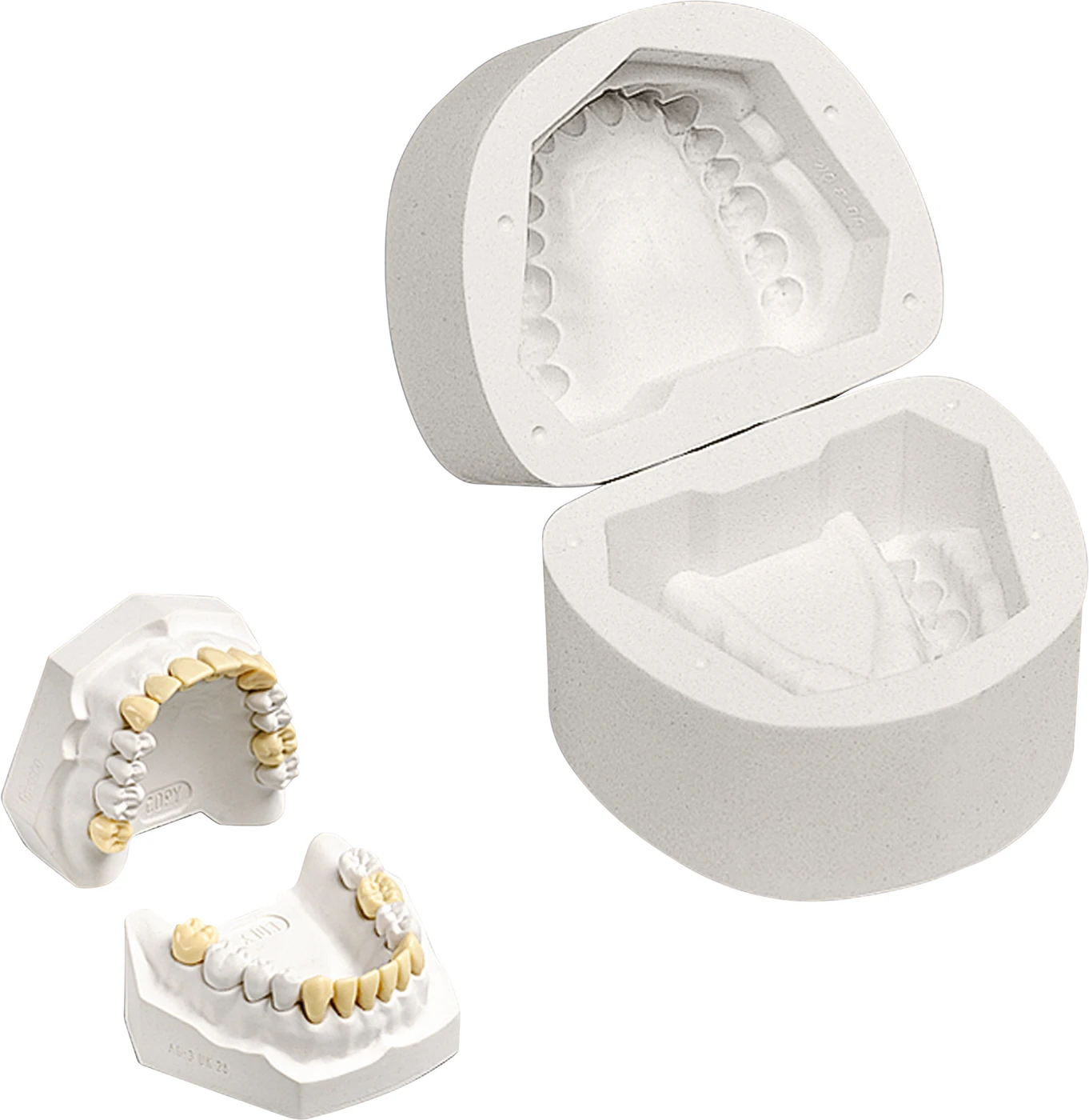 Gumminegativformen AG-3 G 28 Stück für zahntechnische Meistermodell