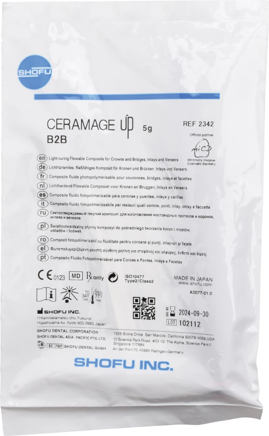 CERAMAGE UP Spritze 5 g Komposit body B2