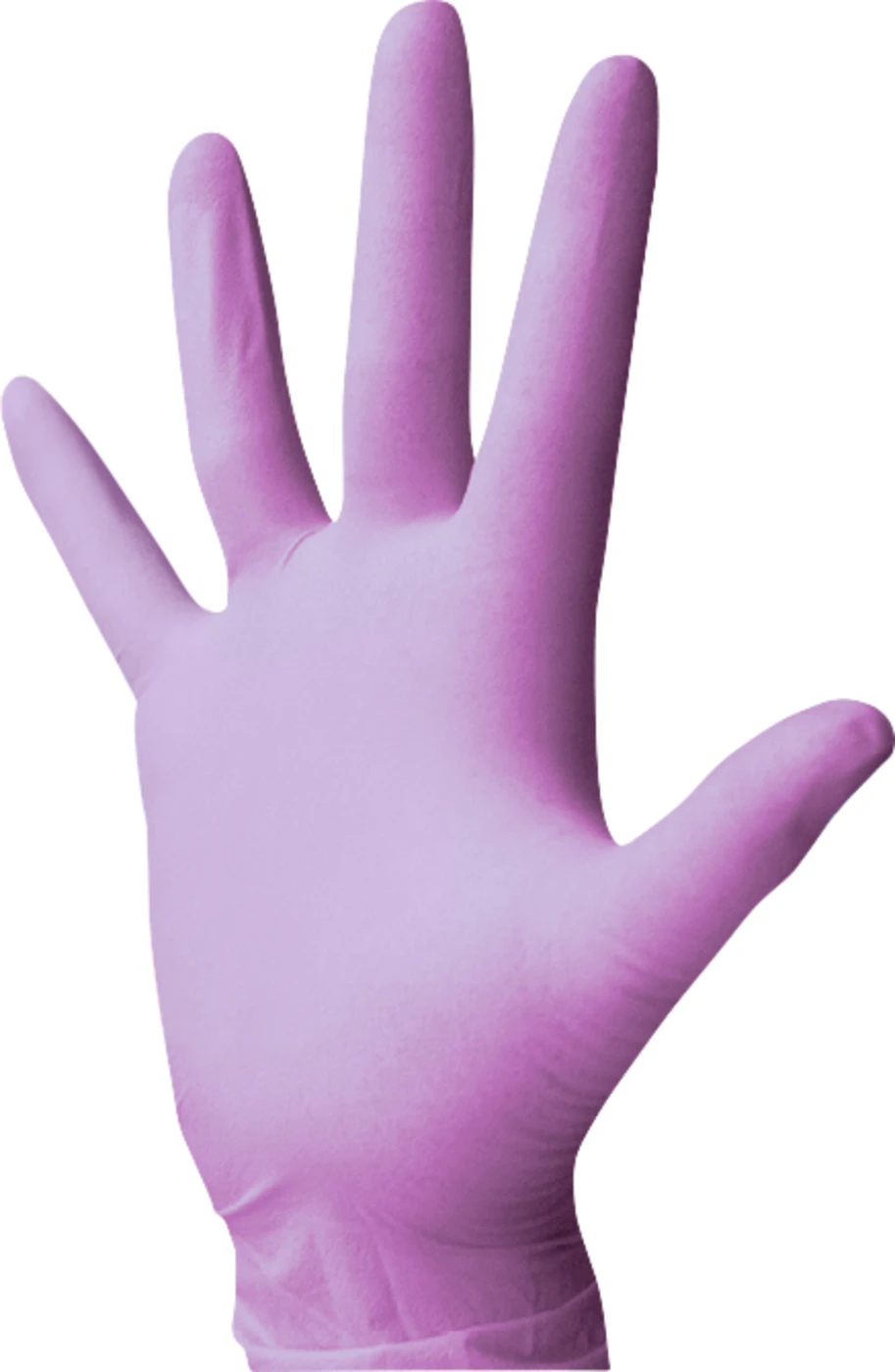 Monoart® Einmalhandschuhe Latex Packung 100 Stück puderfrei, lila, L Monoart® Einmalhandschuhe Latex Packung 100 Stück puderfrei, lila, L