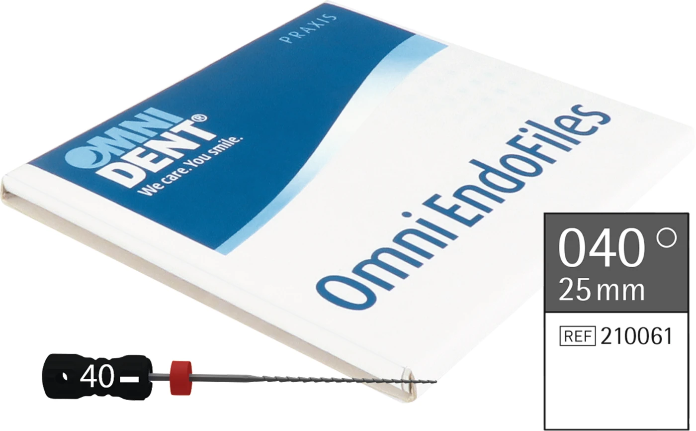 Omni Hedstroemfeilen steril Packung 6 Stück steril, 25 mm, ISO 040