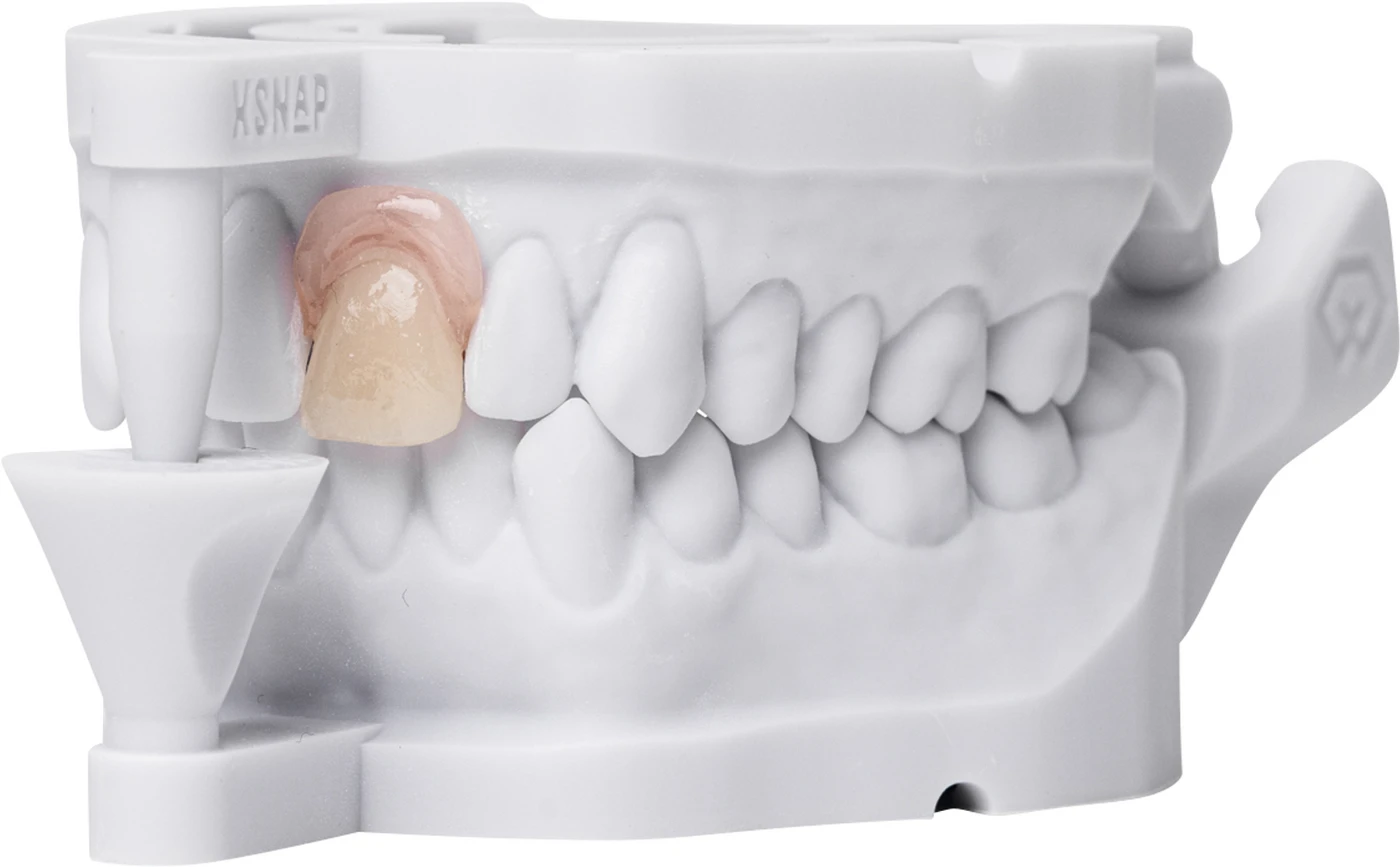 FREEPRINT® denture flex Flasche 1 kg Kunststoff 385 nm, pink-transparent