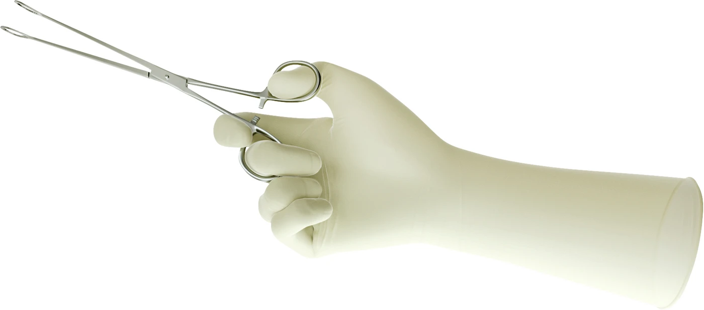 ENCORE® Latex Acclaim Packung 50 Paar puderfrei, natur, Größe 5,5