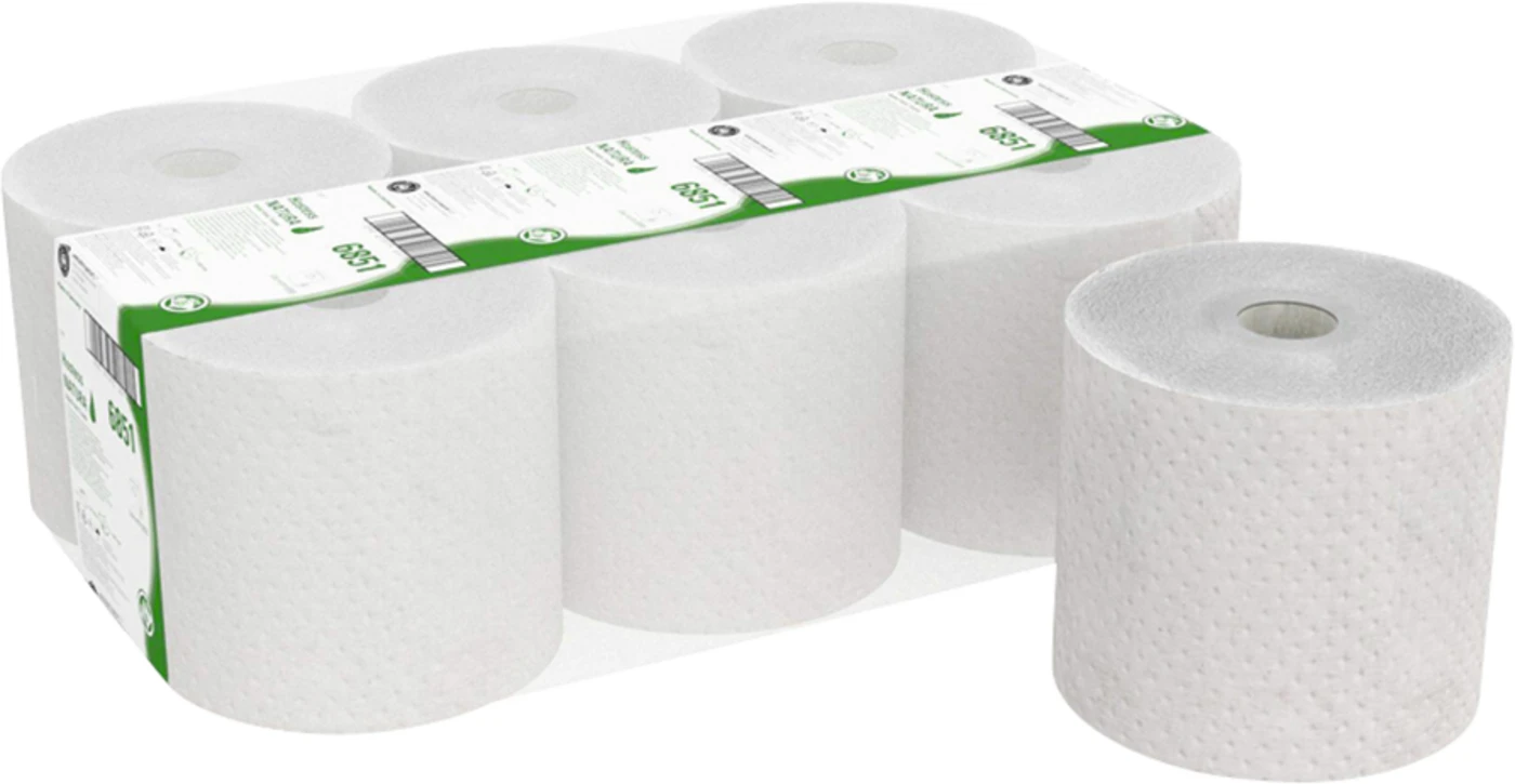 HOSTESS NATURA Rollenhandtücher Packung 6 Stück