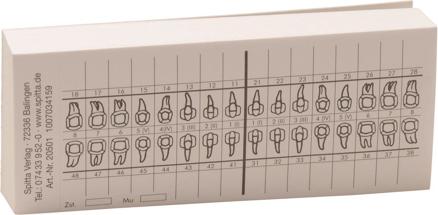 Zahnschema SK Block 100 Stück