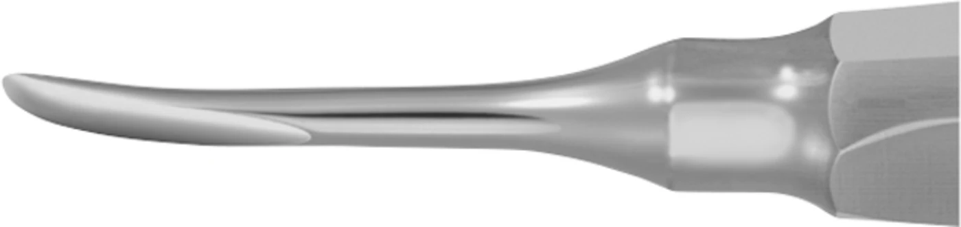 Wurzelheber Stück DL372R, 150 mm, 3 mm, gebogen