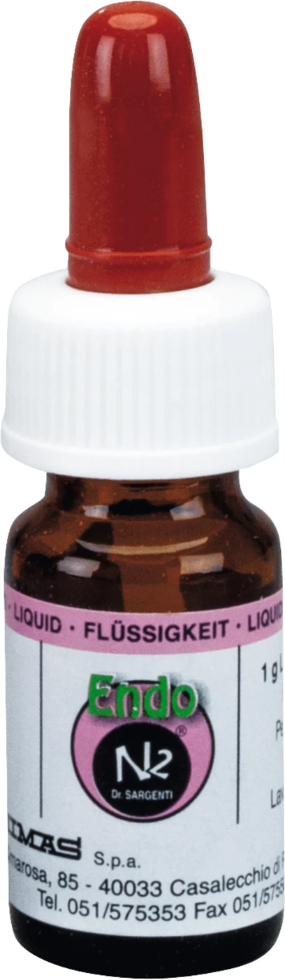 Endo N2® Cement Packung 6 g Liquid