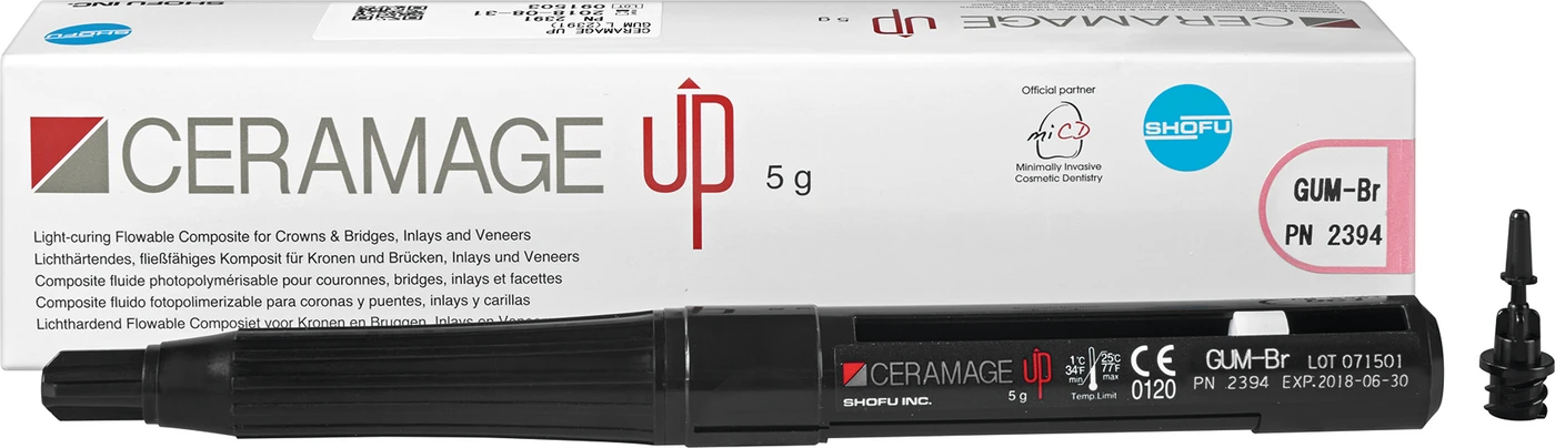 CERAMAGE UP Spritze 5 g Komposit gum Br