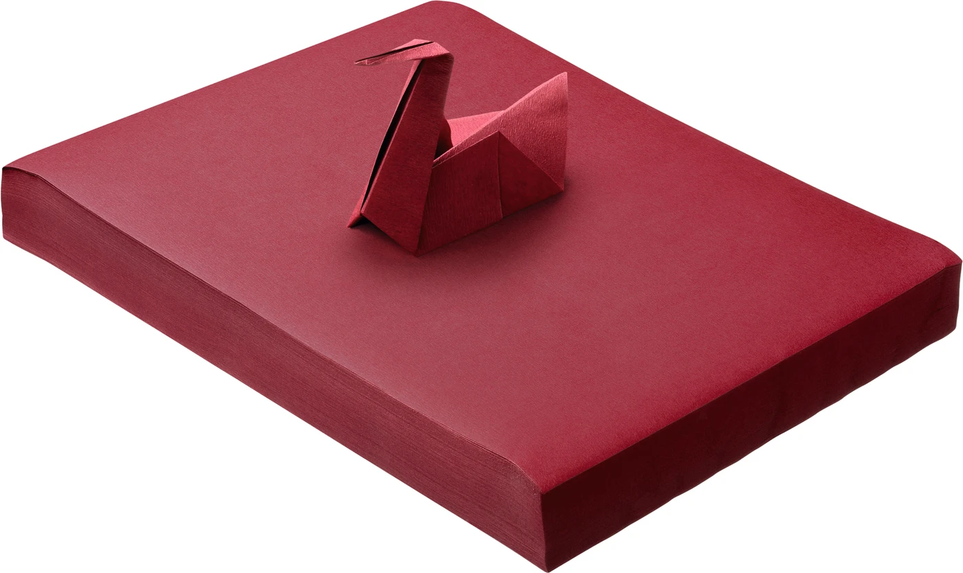 Dental Tray-Einlagen Karton 5 x 250 Stück 28 x 36 cm, weinrot
