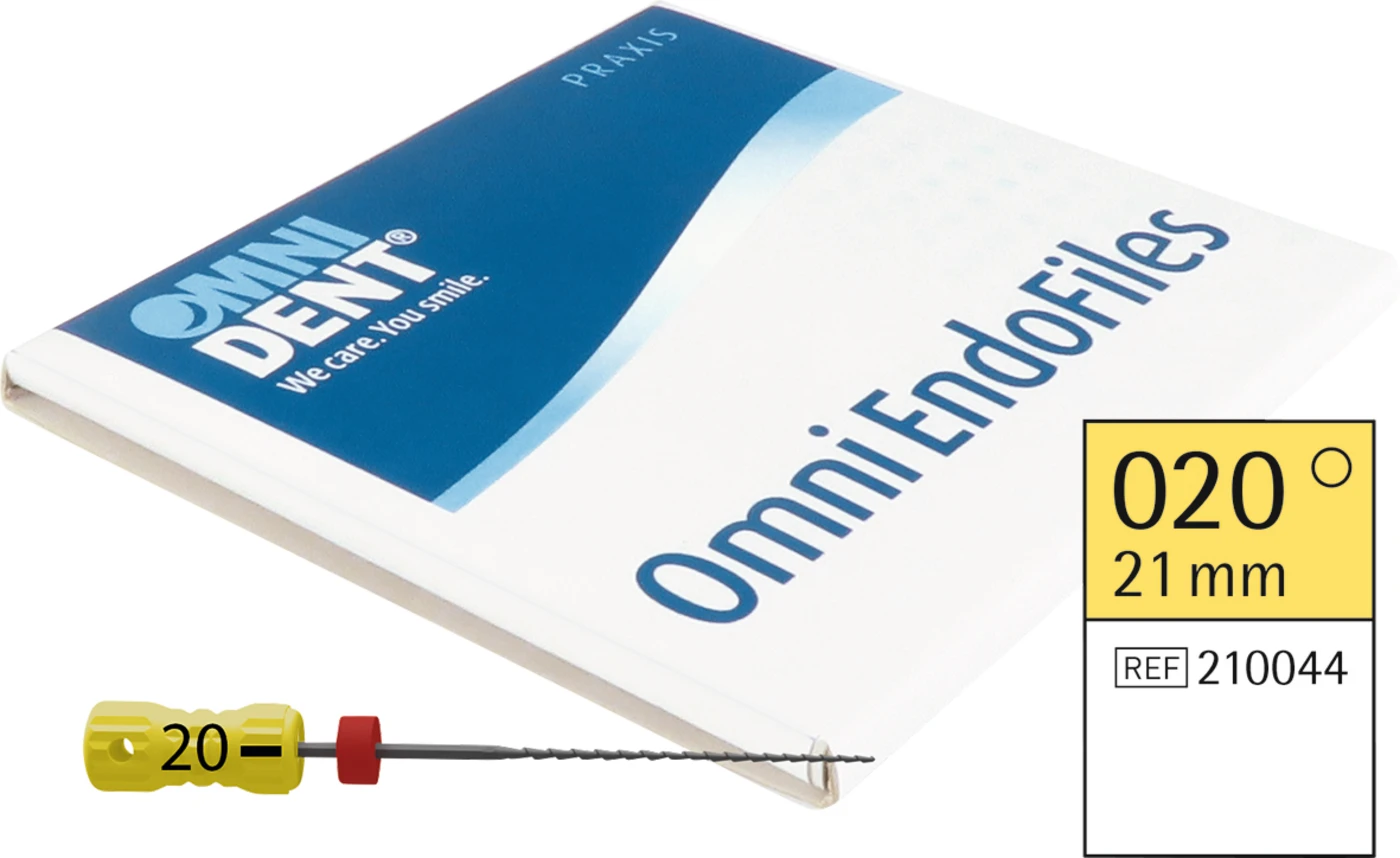 Omni Hedstroemfeilen steril Packung 6 Stück steril, 21 mm, ISO 020