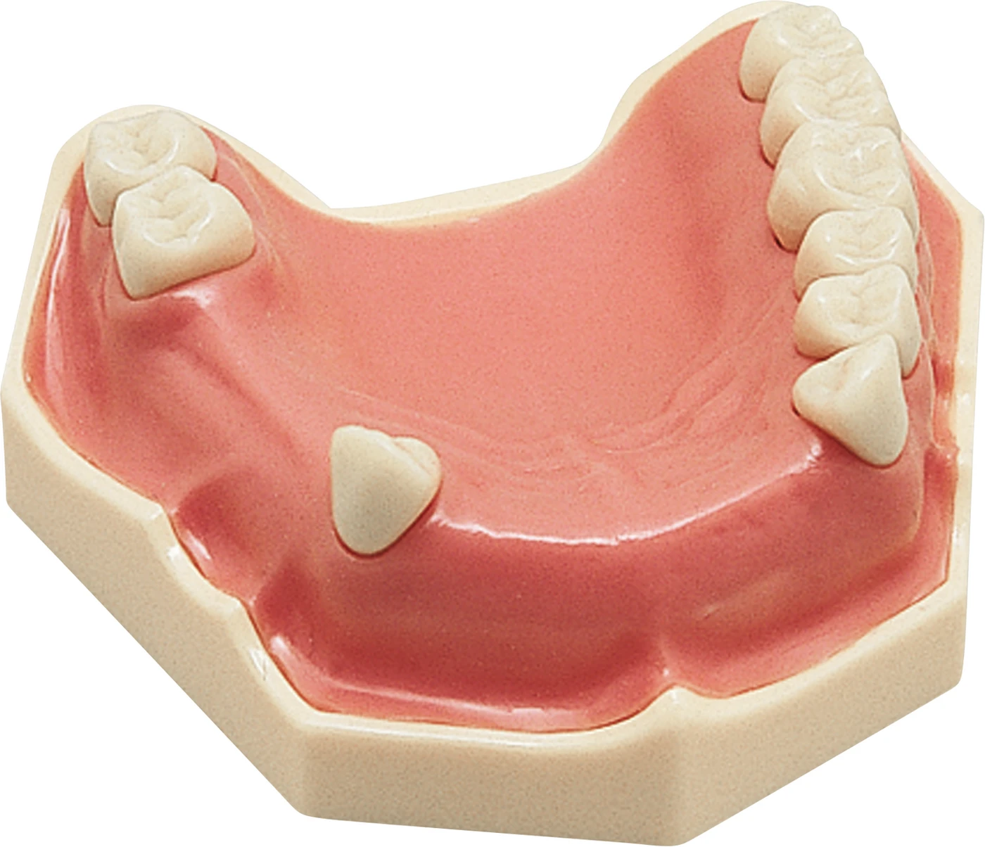Arbeitsmodell AG-3 Stück OK teilbezahnt (8-7-5-4-3-2-1 | 1-2-3-4-5-7-8)
