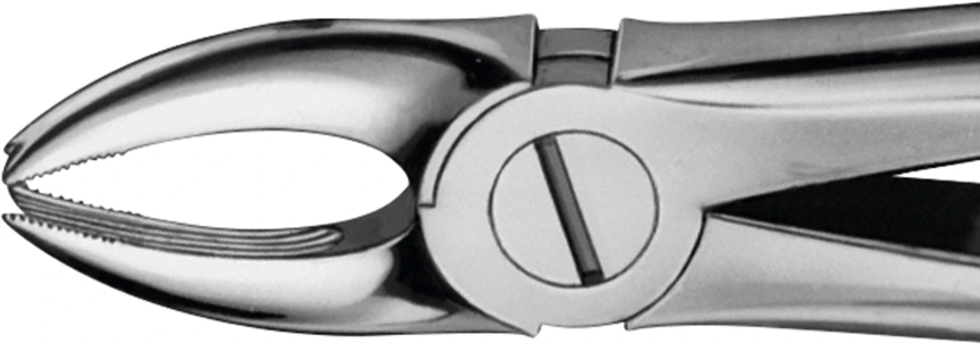 Anatomica-Zahnzangen nach Trotter Stück DG030R, für obere Eckzähne