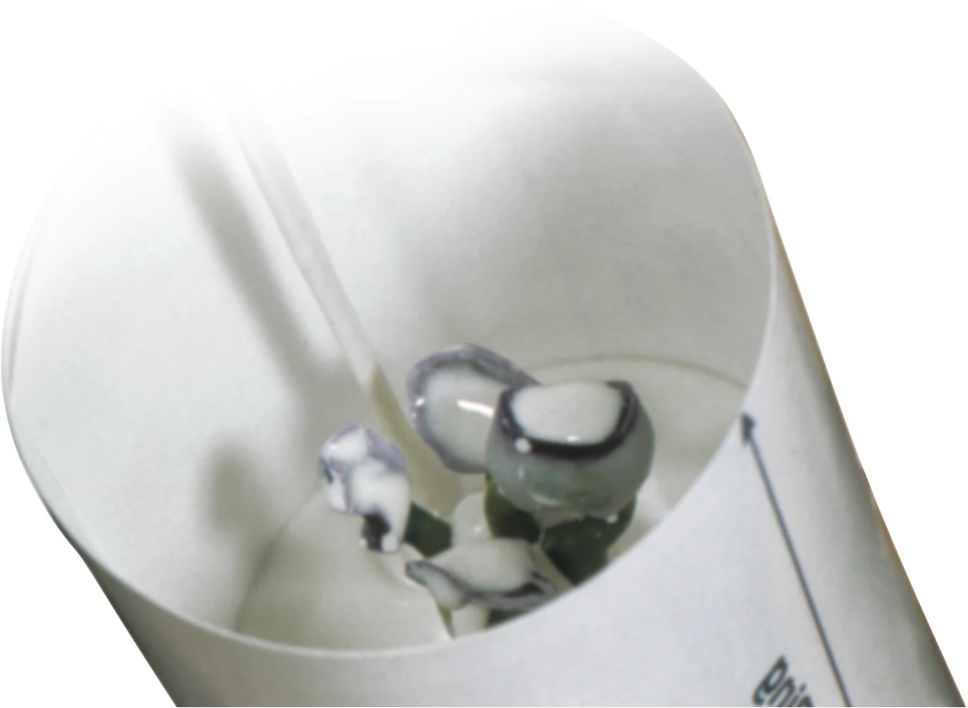 estheticast® exact Flasche 1 Liter