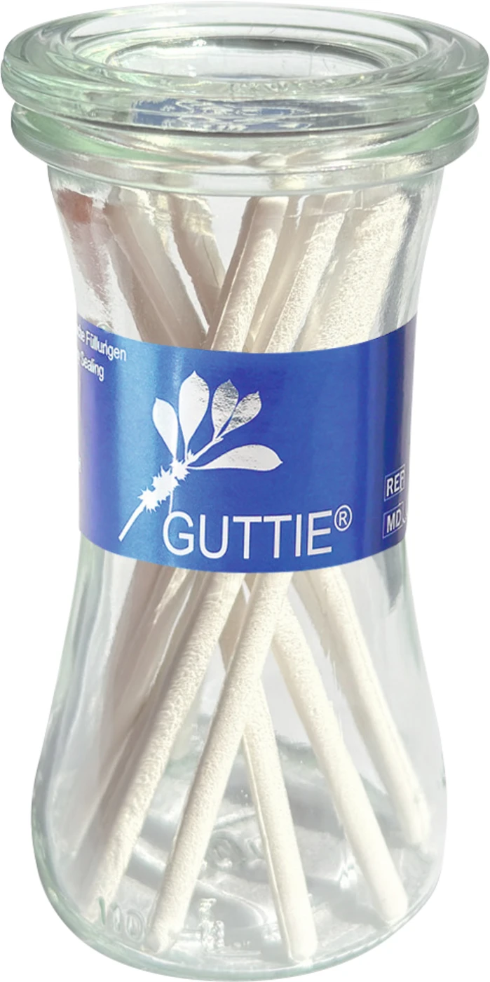 Guttapercha in Stangen Packung 32 g weiß