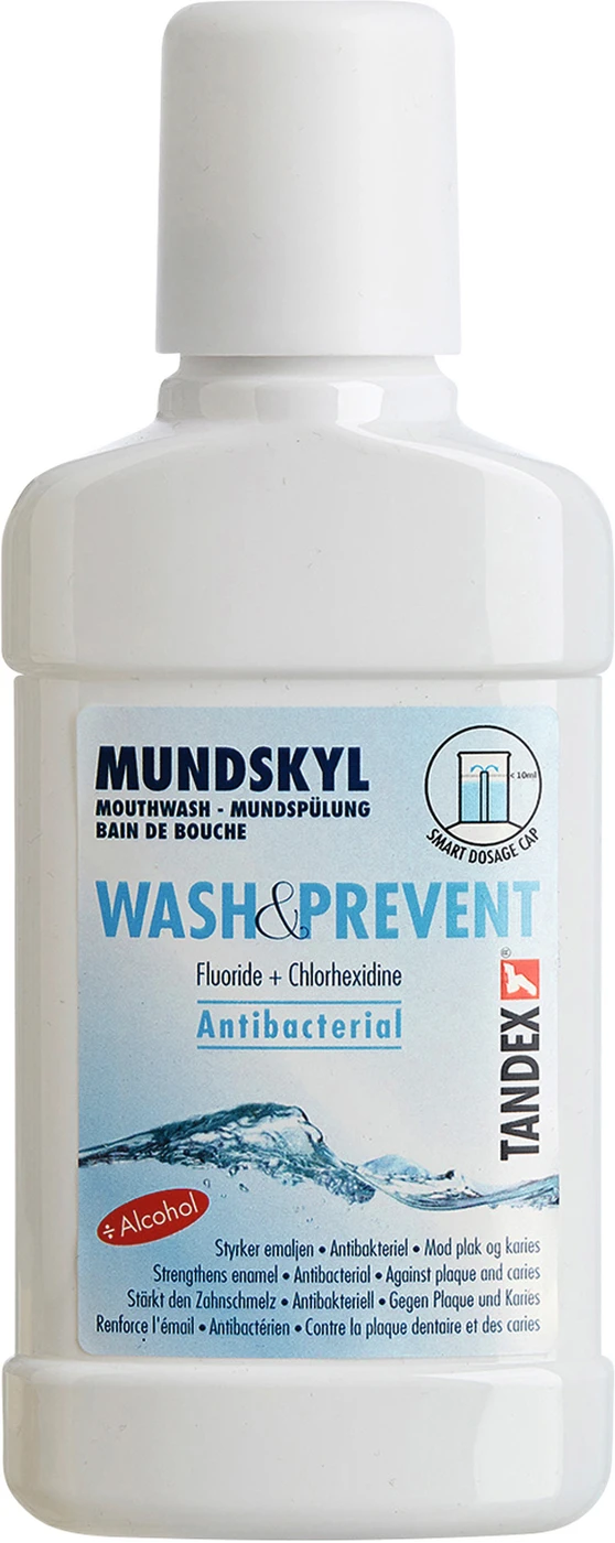 TANDEX WASH & PREVENT Flasche 250 ml