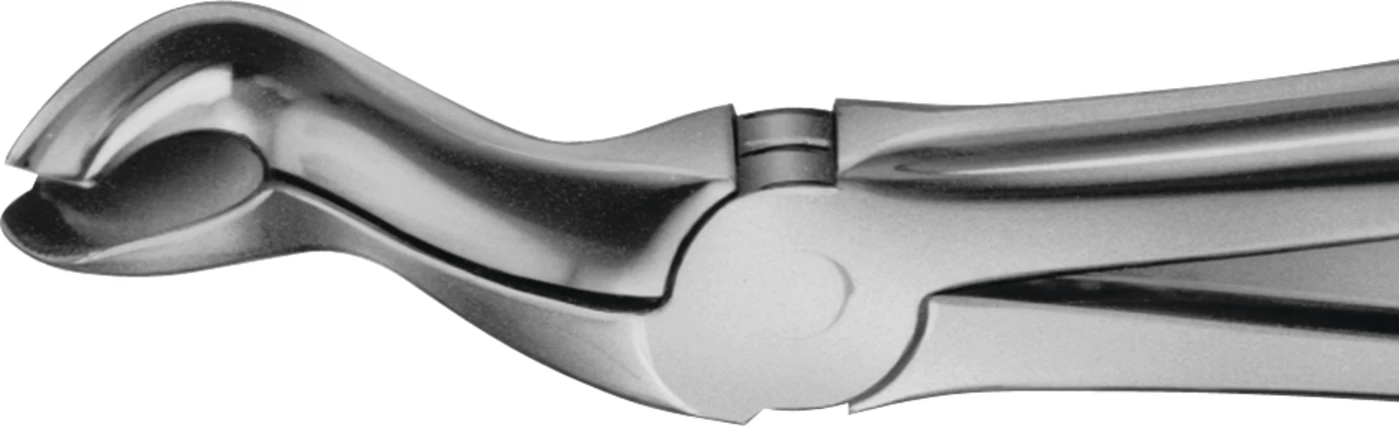 Anatomica-Zahnzange nach Felsch Stück DG270R, für obere Weisheitszähne, mit Fangvorrichtung