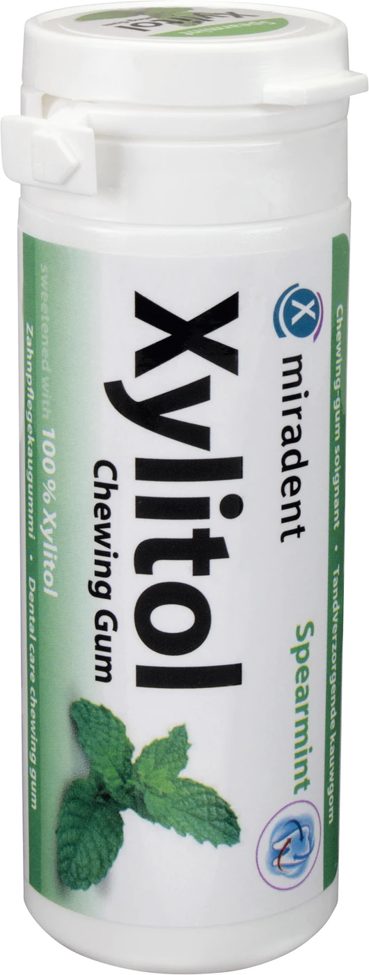 Xylitol Chewing Gum Dose 30 Stück Minze