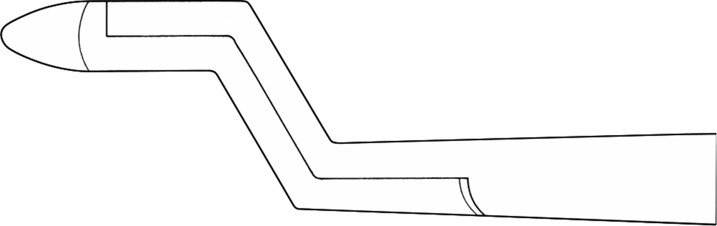 Anatomica-Zahnzangen nach Routurier Stück DG541R, links