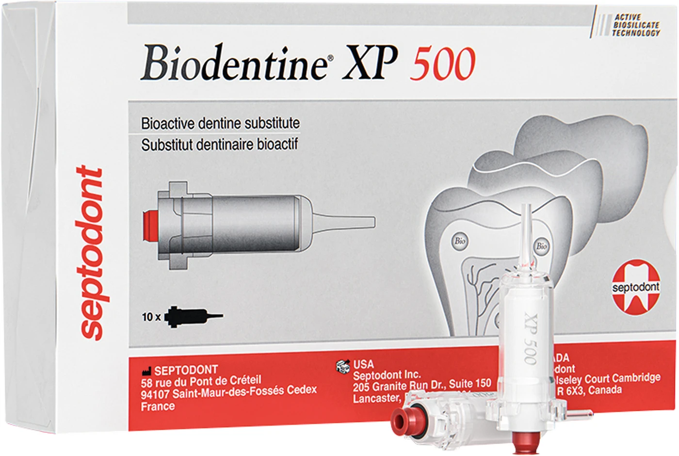 Biodentine™ XP Packung 10 Kartuschen XP 500 Biodentine™ XP Packung 10 Kartuschen XP 500