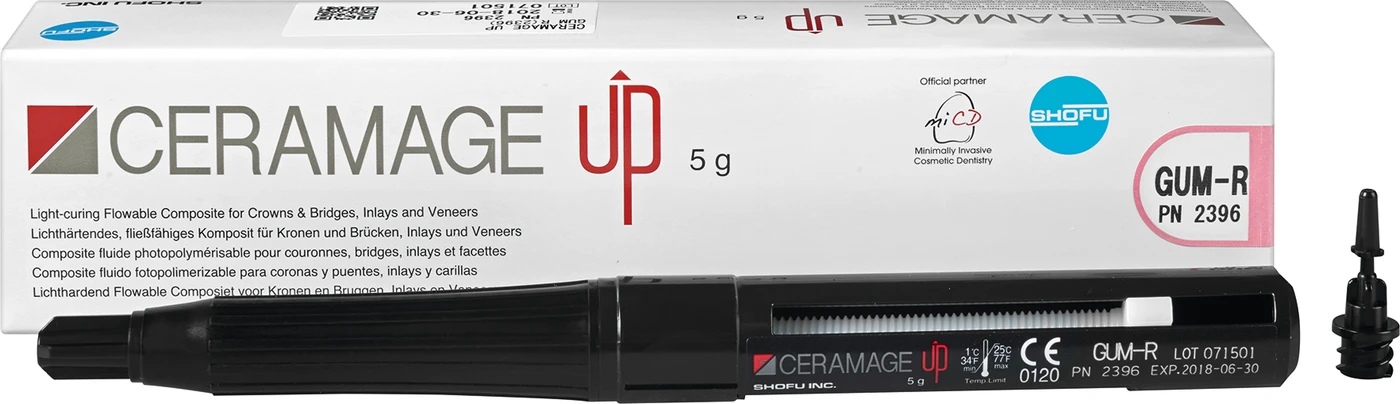 CERAMAGE UP Spritze 5 g Komposit gum R