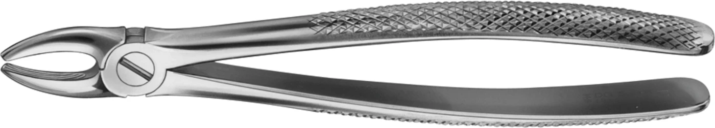 Anatomica-Zahnzangen Stück DG005R, für obere Schneide und Eckzähne