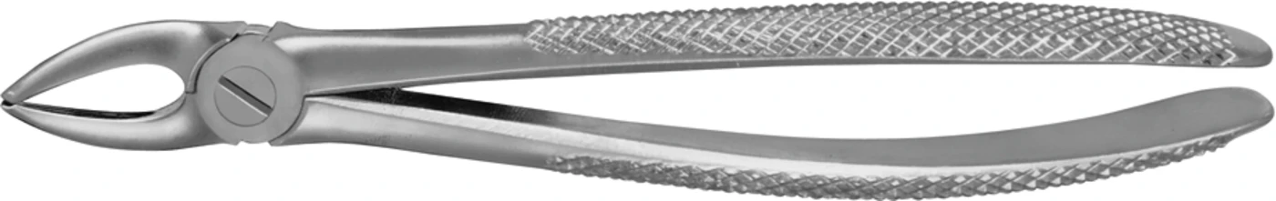 Anatomica-Zahnzange nach Guy Stück DG101R, für obere Prämolaren