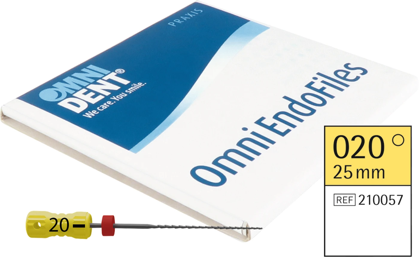 Omni Hedstroemfeilen steril Packung 6 Stück steril, 25 mm, ISO 020