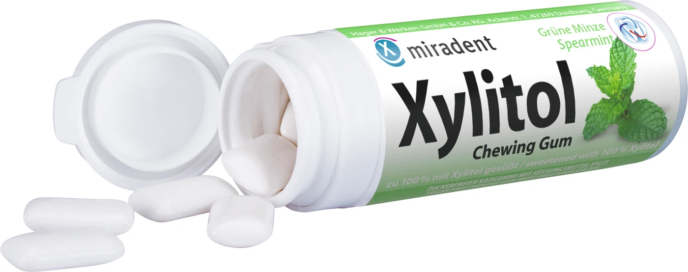 Xylitol Chewing Gum Dose 30 Stück Minze
