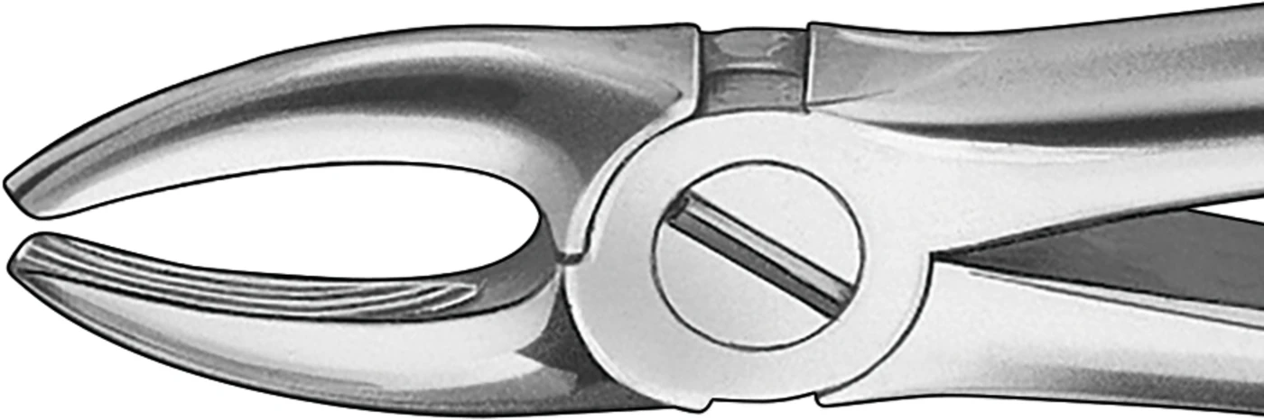 Anatomica-Zahnzangen Stück DG005R, für obere Schneide und Eckzähne