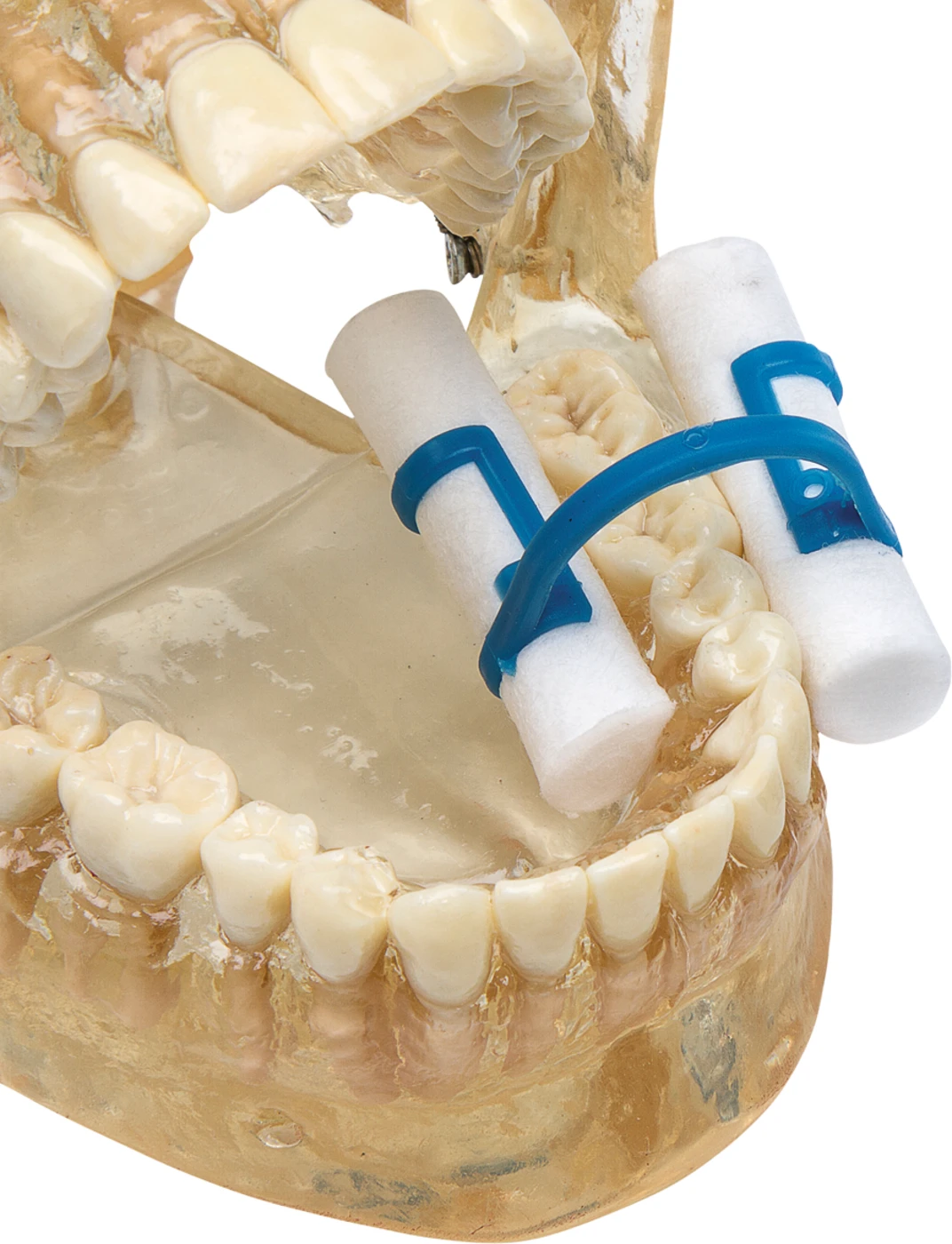 Cotton Clip Packung 100 Stück blau, Kunststoff