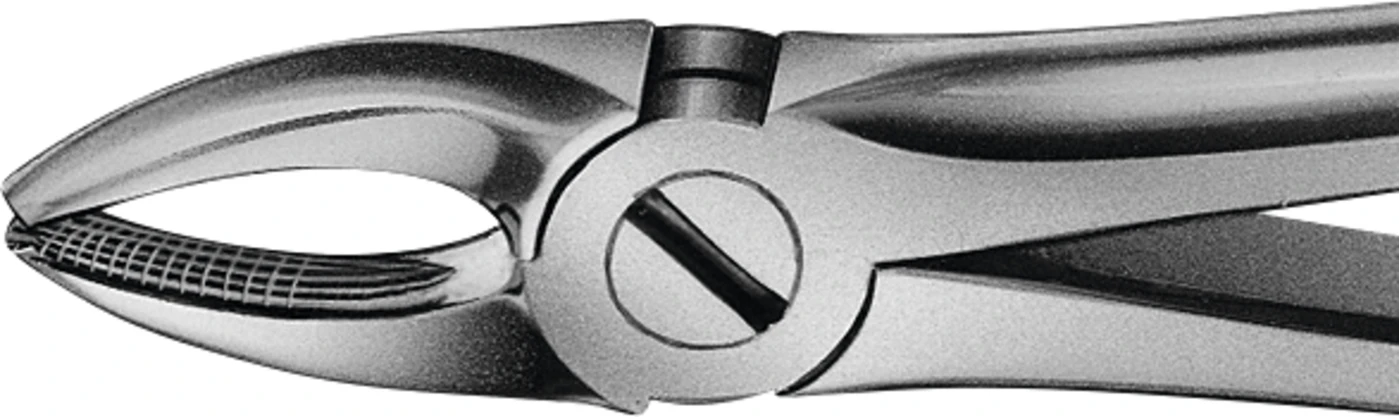 Anatomica-Zahnzangen nach Büchs Stück DH701R, für obere Schneide und Eckzähne, breit