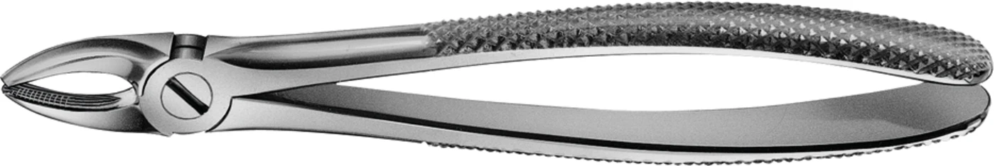 Anatomica-Zahnzangen nach Büchs Stück DH701R, für obere Schneide und Eckzähne, breit