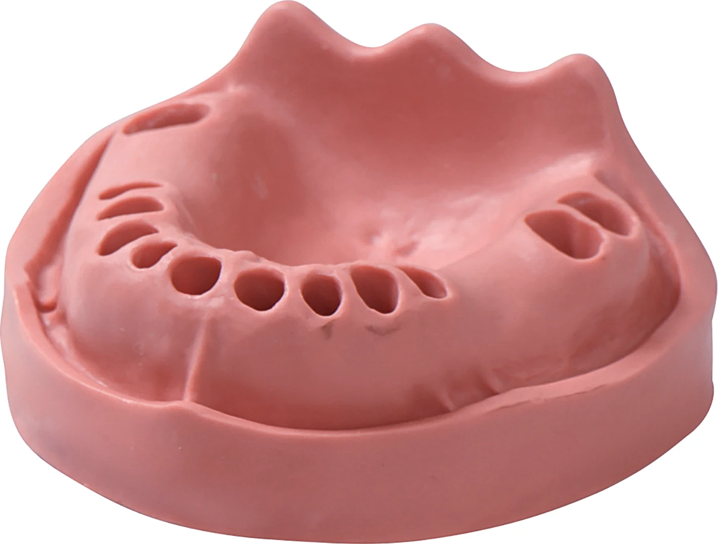 Modelle Gingiva Stück OK 12/2