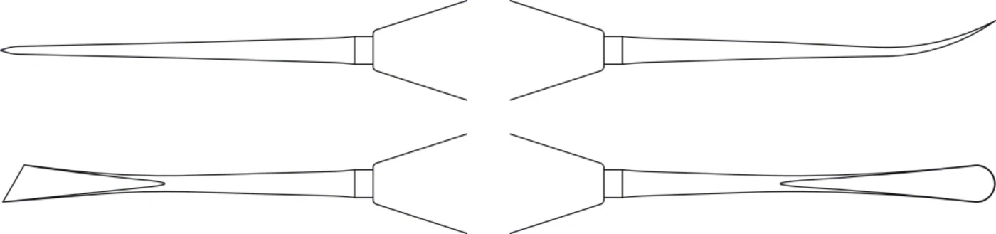 Raspatorien Stück Dental, gewinkelt, gerade, 165 mm