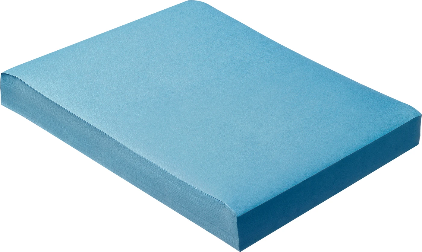 Dental Tray-Einlagen Karton 5 x 250 Stück 28 x 36 cm, blau