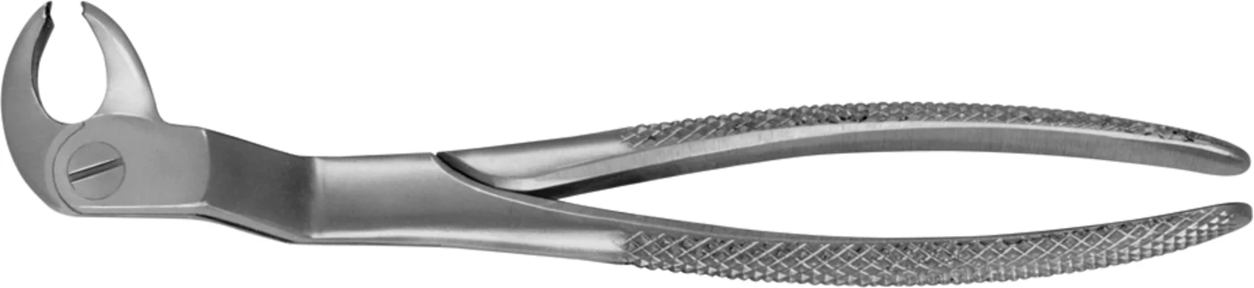 Anatomica-Zahnzangen nach Routurier Stück DG541R, links