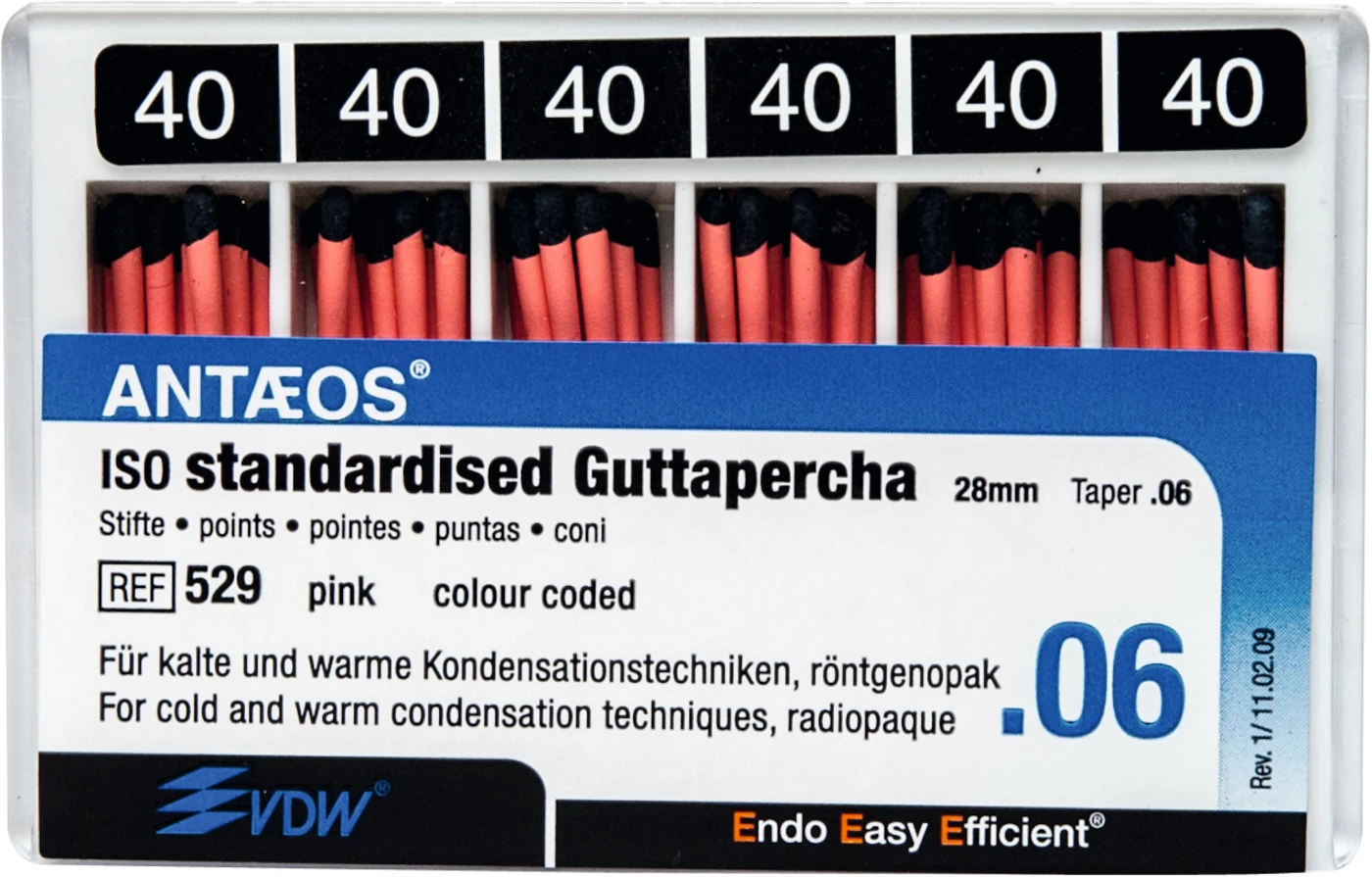 Guttaperchastifte Packung 60 Stück rosa, Taper.06 ISO 040