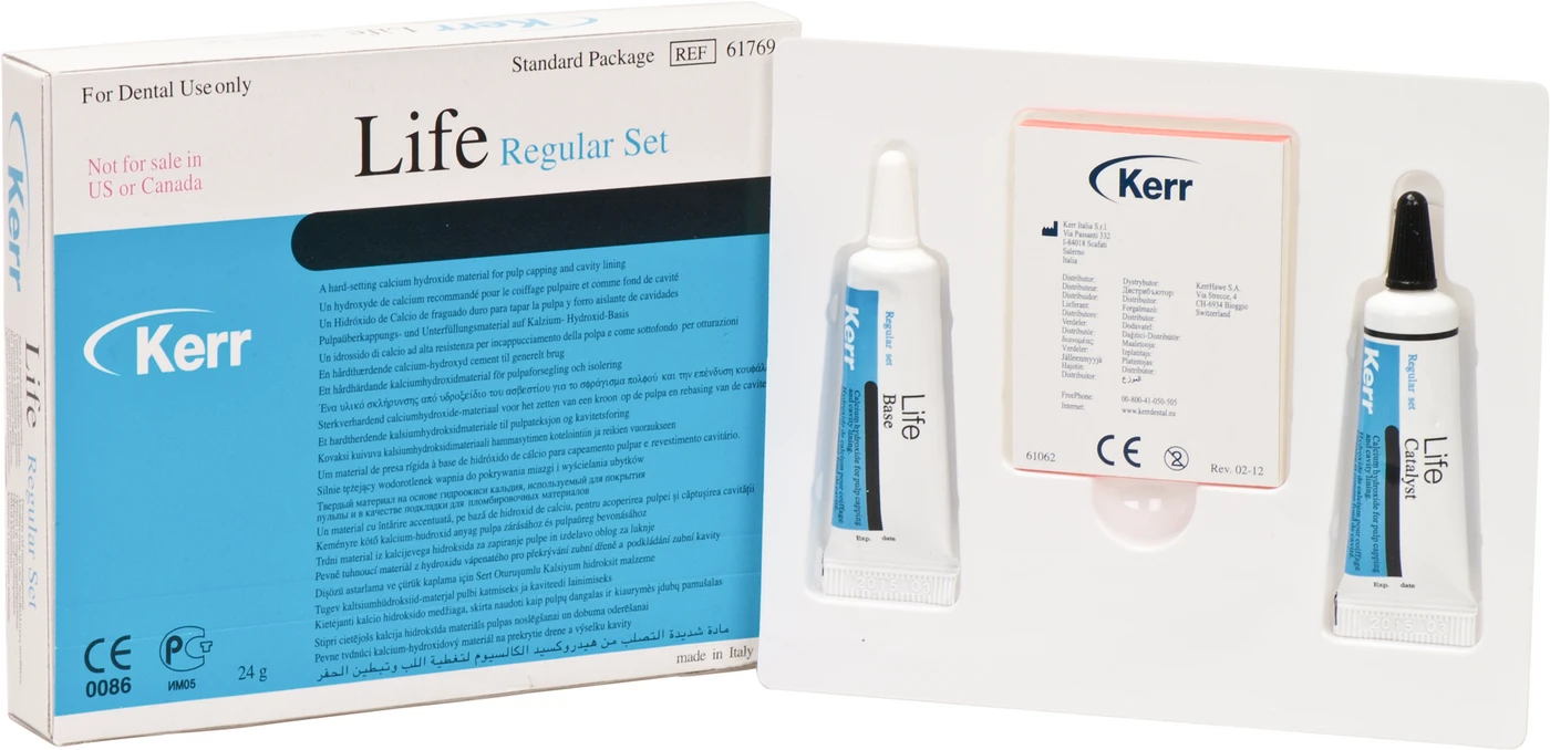 Life Packung 12 g Basis- und Katalysatorpaste regular, 1 Anmischblock