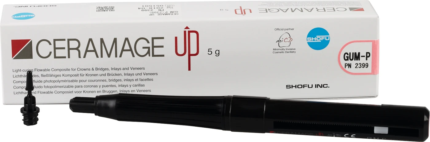 CERAMAGE UP Spritze 5 g Komposit gum P
