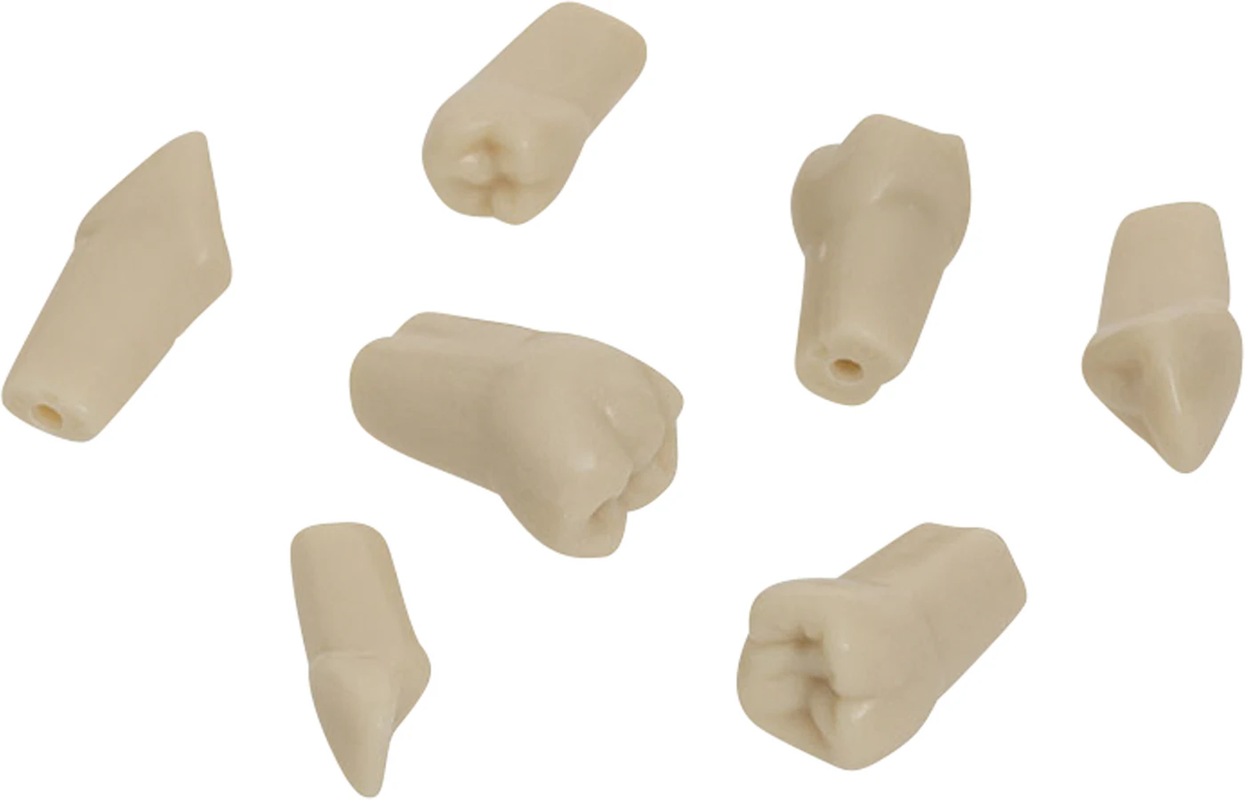 Gnathologe Modellzähne AG-3 Packung 10 Stück 45 inklusive Schrauben Gnathologe Modellzähne AG-3 Packung 10 Stück 45 inklusive Schrauben