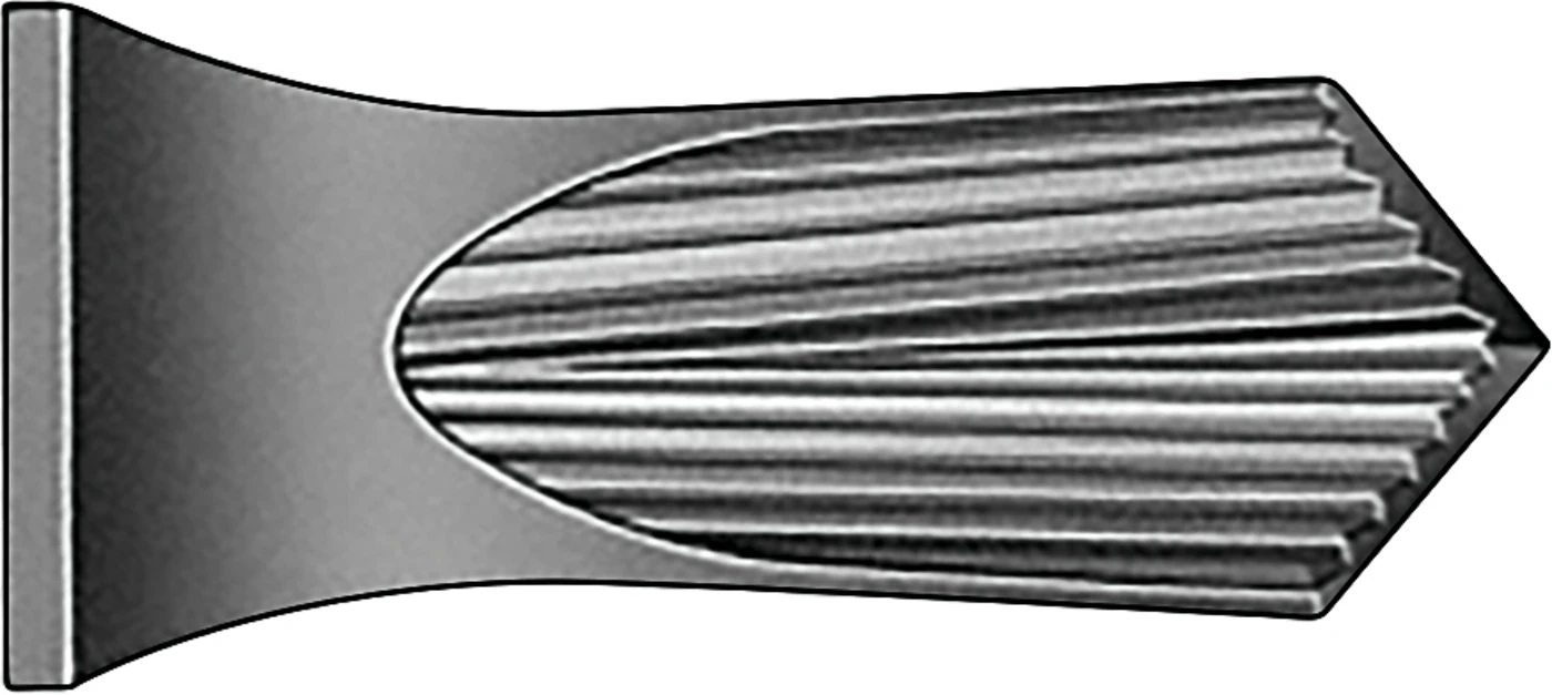 Anatomica-Zahnzangen nach Routurier Stück DG541R, links